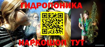стаф Ливны